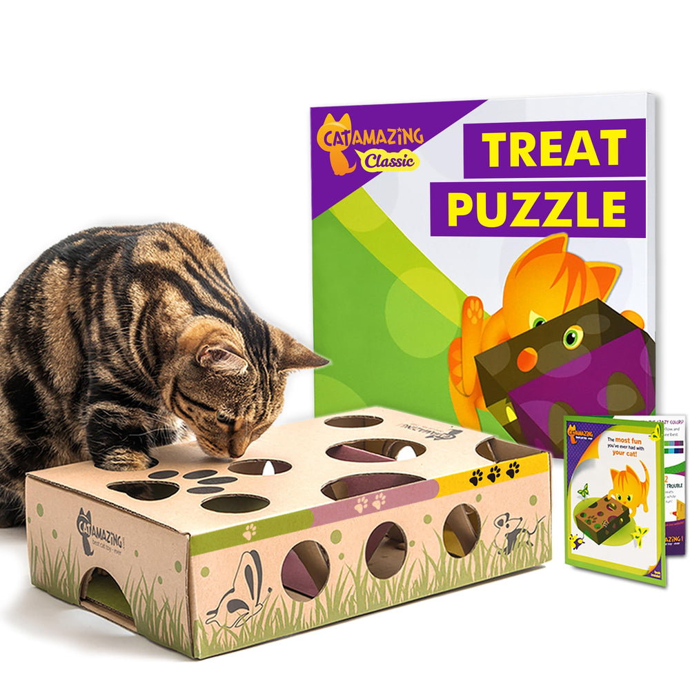 Cat Amazing shark tank puzzle box engaging curious cats during play.