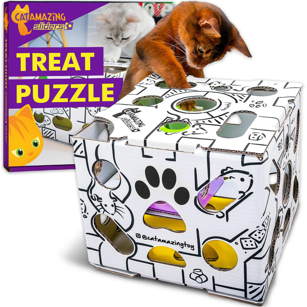Cat Amazing Sliders interactive maze action showing curiosity and engagement.