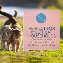 Catego for Cats kills fleas on contact, helping prevent infestation.