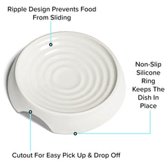 CatGuru kitten-friendly size bowl for small cats