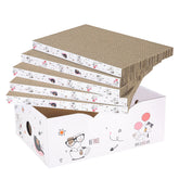 Catinarla 5-pack scratch pads with box for organized play and grooming