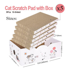 Catinarla eco-friendly cardboard and safe glue for cats