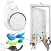 CATPICK interactive door toy attached to a frame encouraging active indoor play