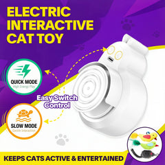 CATPICK USB-C recharge port ready for daily use