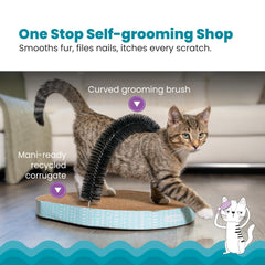 Catstages self-grooming station setup supports quick grooming between play sessions.