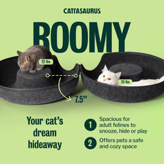 Cattasaurus Peekaboo cat cave donut tunnel combo for play and rest