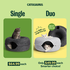 Cattasaurus Peekaboo Cat Cave tunnel entrance view highlights space for play.