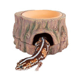 CAVACHEW 3-in-1 hide cave top view for secure small reptiles