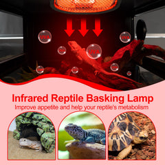 CAVACHEW spring-mounted fixture clamps securely to terrarium lid