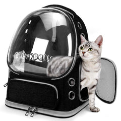 Cawypety Cat Backpack with bubble window offers calm, sunlit visibility.