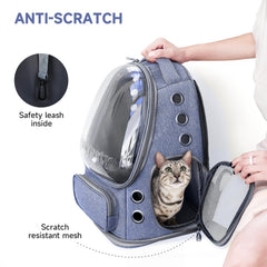 Cawypety safety harness prevents escapes during travel sessions.