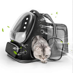 Cawypety Expandable Cat Backpack with bubble window for curious pets on the go