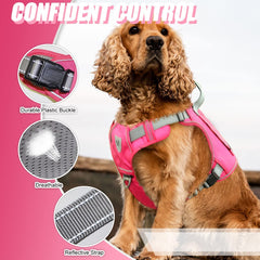 CBBPET reflective strip enhances night visibility for evening walks