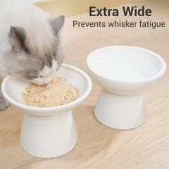 CEEFU 2 elevated cat bowls for water focus supporting easy sipping.