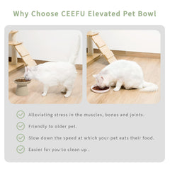 CEEFU ceramic cat dish close-up emphasizing non-absorbent surface