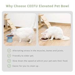 CEEFU deeper water bowl for steady, comfortable hydration.