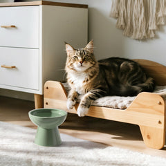 CEEFU durable ceramic cat bowl, dishwasher and microwave safe
