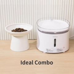 CEEFU heavy-duty ceramic cat bowl with a stable base for steady meals.