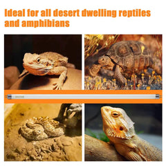 Celiwace T5 UVB lizard enclosure lighting for healthy activity and basking