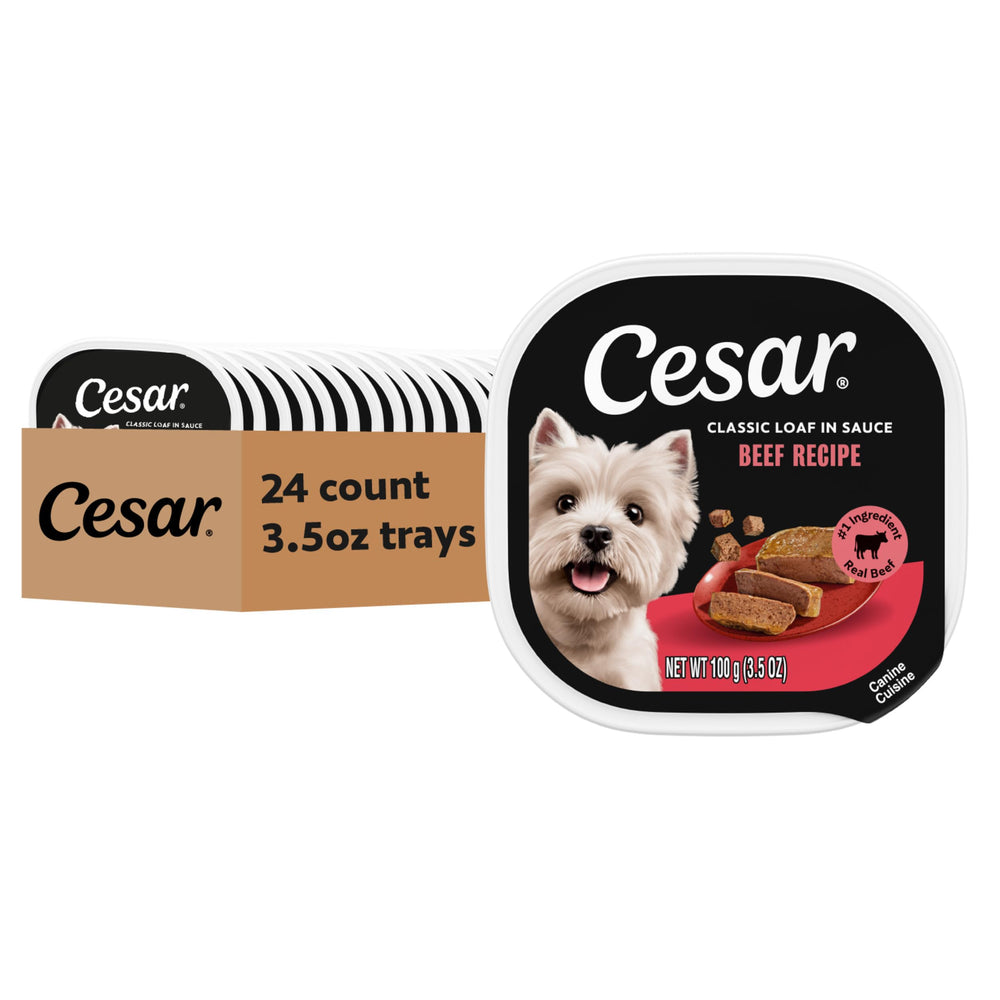 Cesar Classic Loaf in Sauce Beef Tray showing premium beef flavor for adult dogs