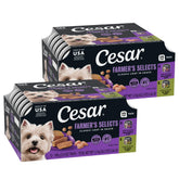 Cesar Classic Loaf in Sauce chicken flavor tray, protein-packed meal for dogs