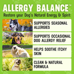 Better Dog Allergy Balance scoop measures daily portion for dogs