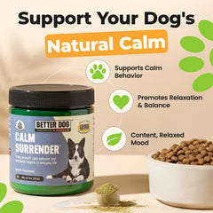 Calm Surrender dog relaxing with owner demonstrates gentle behavior support.