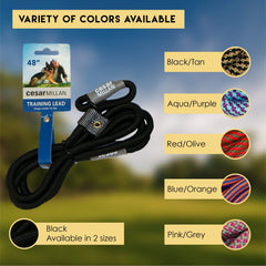 Cesar Millan Slip Lead Color Options: vibrant colors for easy visibility during walks.