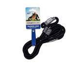 Cesar Millan Slip Lead Leash training in action, promoting gentle corrections during walks.