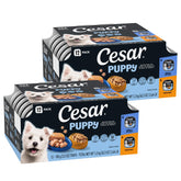 Cesar Puppy Classic Loaf in Sauce image shows a juicy, chicken-based loaf for puppies.