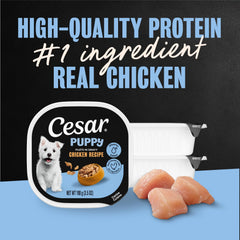 Cesar Puppy Filets in Gravy tray made in the USA for trusted quality
