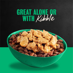 Cesar wet dog food turkey recipe bowl presentation with natural flavors