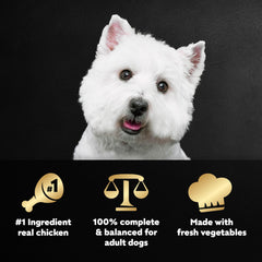 Cesar Wholesome Bowls real chicken close-up highlighting quality meat