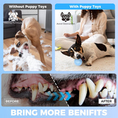 CGBD blue small-dog interactive toy promotes training and bonding outdoors.