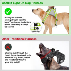 ChalkLit harness with adjustable straps for a secure fit on medium to large dogs