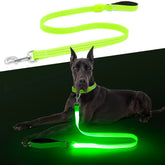 ChalkLit LED dog leash 4ft for bright nighttime visibility.