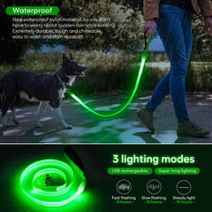 ChalkLit padded-handle leash offers comfortable grip on walks.