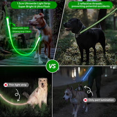 ChalkLit LED leash charging via micro-USB for quick recharging.