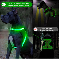 ChalkLit 360-degree illumination for full night visibility on walks.