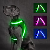 ChalkLit front view of the light up dog harness for night visibility.