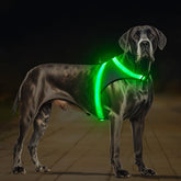 ChalkLit light up dog harness front view showing high visibility for night walks