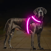 ChalkLit pink light up dog harness front view shows bright night visibility for safer walks