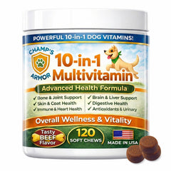Champ's Armor dog multivitamin bottle boosts daily vitality with 10-in-1 benefits.