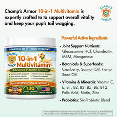 Champ's Armor wild-caught salmon oil enhances coat shine and skin health.