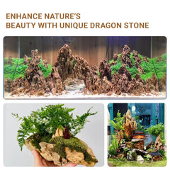 Aquascape use with ChaoLeHo Dragon Stone creating caves and arches.