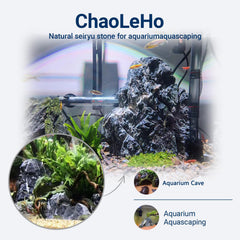 ChaoLeHo Seiryu stone natural pattern showcases unique visual interest for tanks