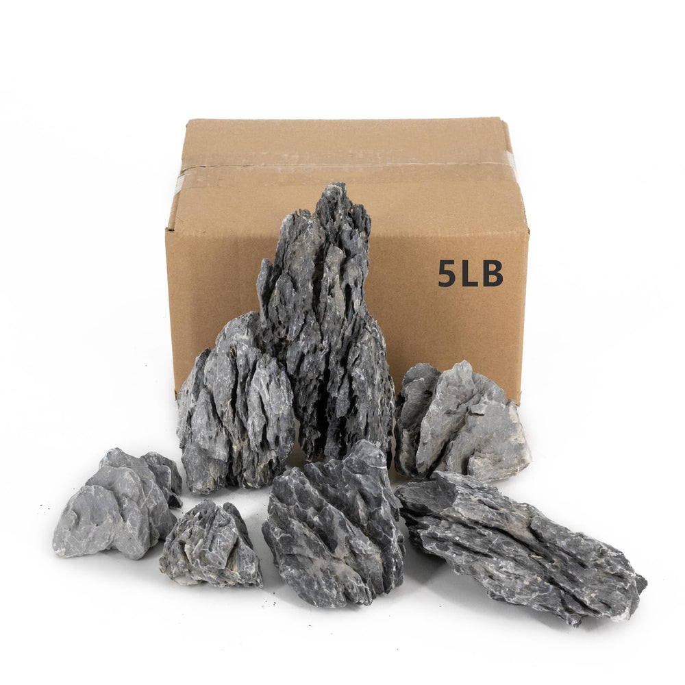 ChaoLeHo Seiryu stone displays natural texture enhancing aquarium visuals.