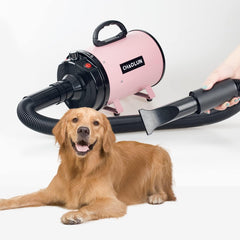 CHAOLUN dryer heat setting display shows gentle warmth for grooming.
