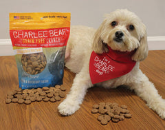 Charlee Bear treats used in an obedience training session outdoors