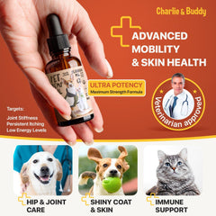 Relaxed pet after using Charlie & Buddy hemp oil